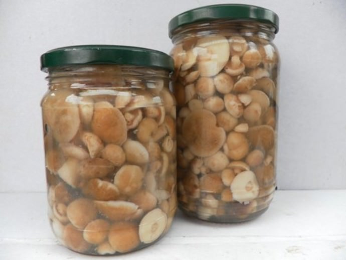 Есть методы приготовления, допускающие замариновать маслята и без стерилизации