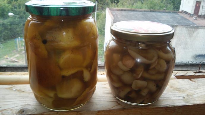 Многие в поиске самого простого рецепта для маринования грибов