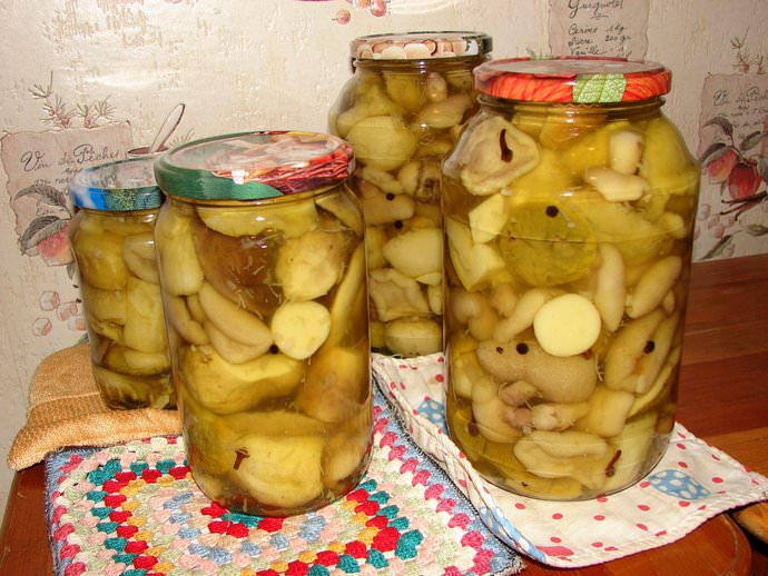 Некоторым не сильно нравятся замаринованные маслята, так как по вкусу становятся очень тягучими и тяжёлыми для желудка