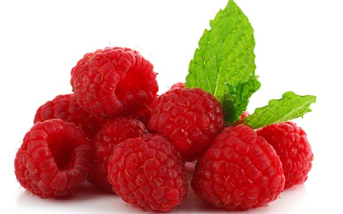 Ценность плодов малины широко известна, особенно при лечении простудных заболеваний, всех видов ангины и многих других заболеваний