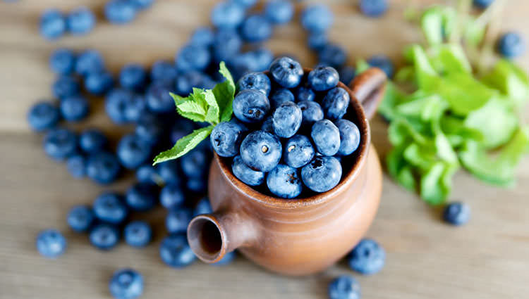 Голубика Норд Блю отблагодарит хорошим урожаем, если ее подкармливать минеральными удобрениями