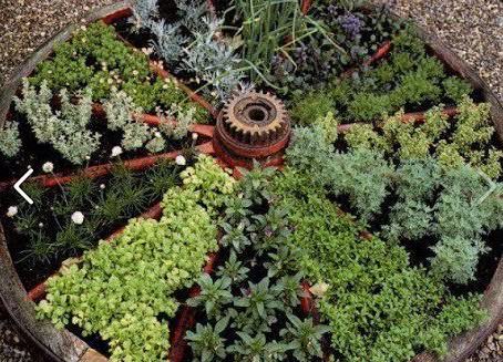 Дачники в обязательном порядке на своем участке выделяют место под зелень