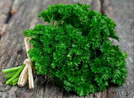 Выращивать петрушку можно через подзимний посев