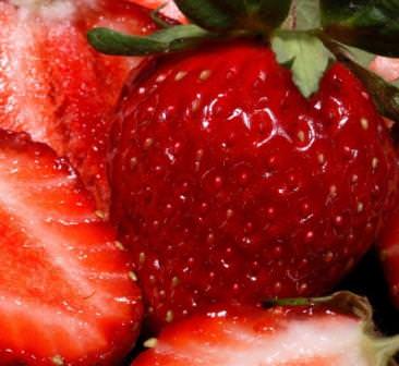 Как крупноплодный сорт он требует к себе особого внимания