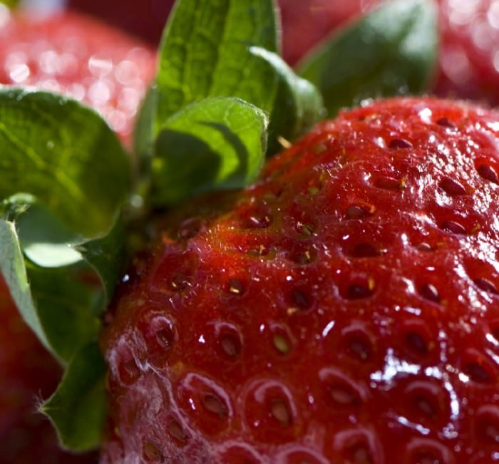 Несмотря на русское название этот сорт создали голландцы