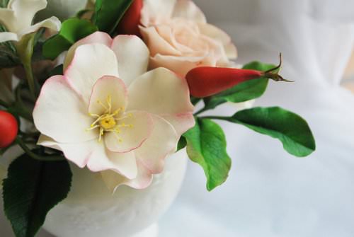 Достаточно часто роза перерождается в шиповник