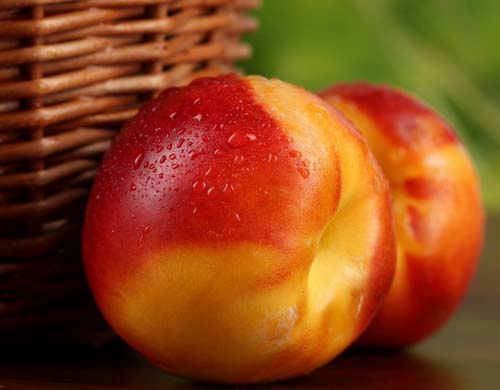 Нектарин является очень популярной разновидностью персика