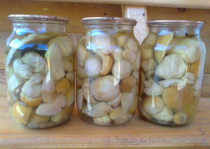 Такая заготовка не доставит хлопот