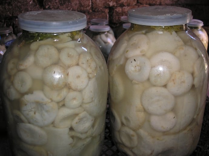 Заготовка по этому рецепту позволит быстро приготовить грибы