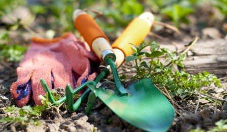 Весна – пора закладки будущего урожая на грядках