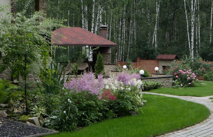 Праздничный вид с белыми стволами и ажурной кроной позволяет зрительно расширить пространство даже очень небольших участков