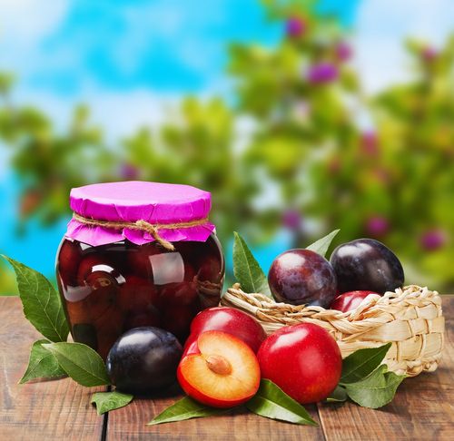 Хранение урожая слив длительное время – задача вполне выполнимая