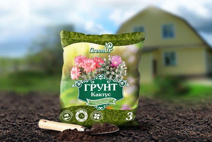 Очень хорошо подойдет для выращивания денежного дерева готовый грунт, пригодный для культивирования кактусов или любых растений-суккулентов