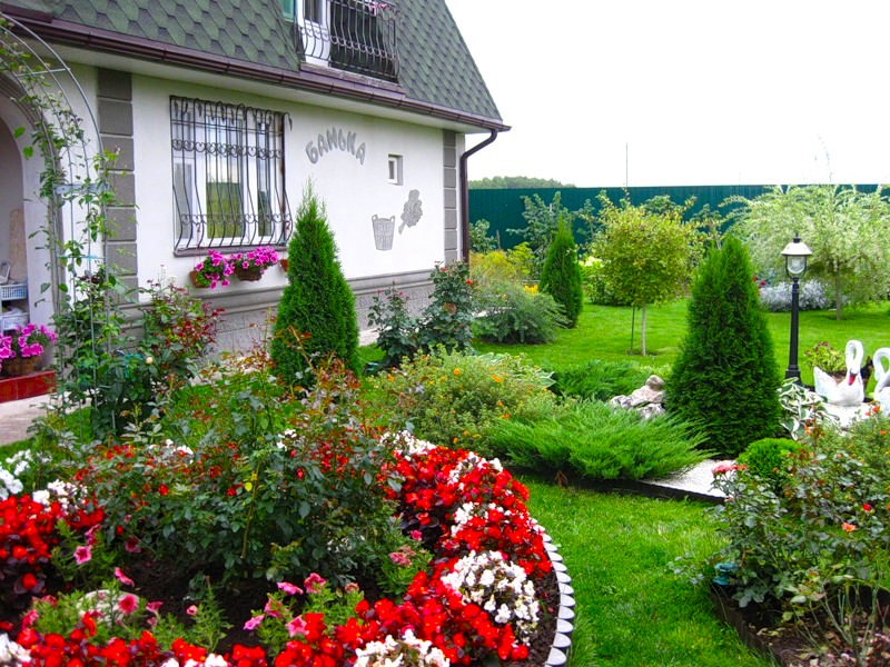 Для оформления высокорослыми растениями часто используется высаживание туй