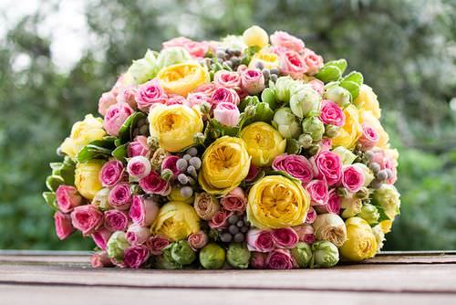 Пионовидные розы ценятся цветоводами за неприхотливость