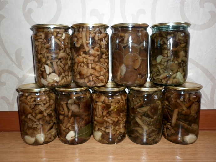 Отменными вкусовыми качествами обладают валуи в маринованном виде