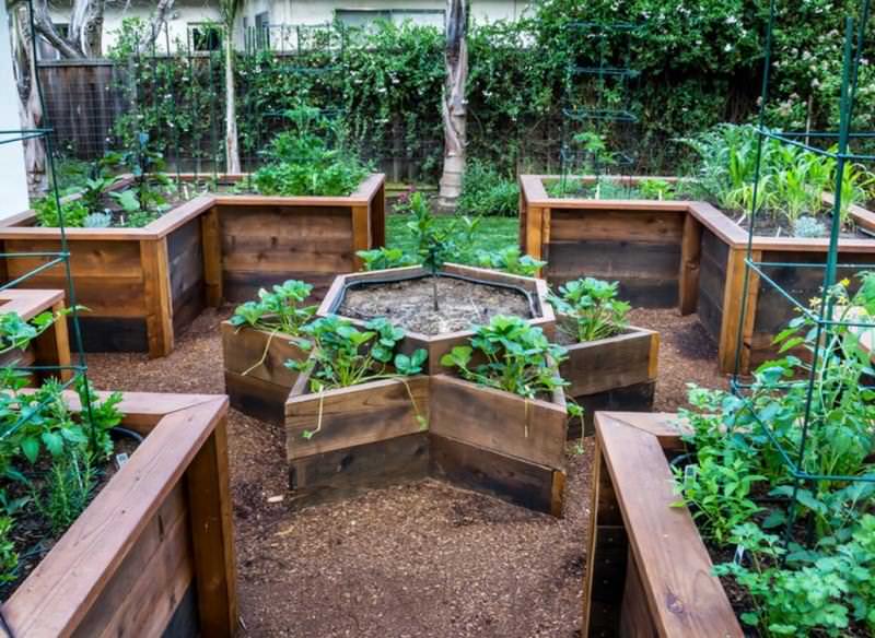 Высокая грядка представляет собой участок плодородной земли, приподнятый на 30-50 см над поверхностью