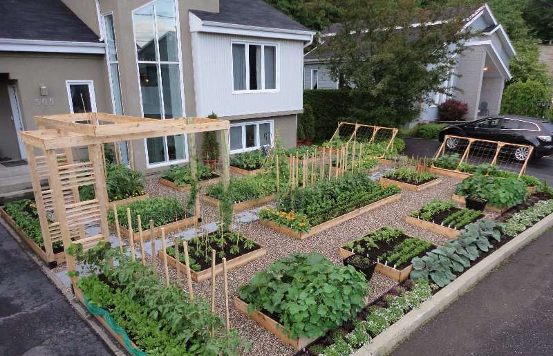 Высокие грядки благоприятно использовать в районах, где климат не совсем благоприятен для выращивания растений