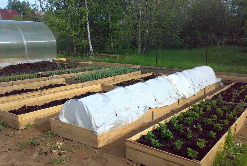 Почва высокой грядки удерживается внутри каркаса в виде своеобразного корыта, при этом его стенка может быть разной высоты