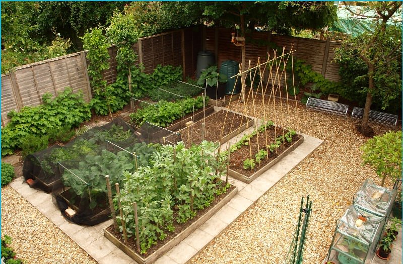 Такие сооружения относятся к теплым системам и позволяют получить более ранний урожай