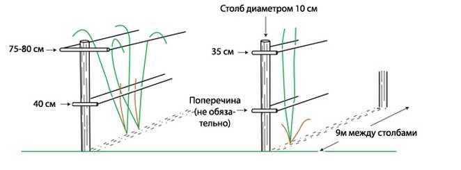 Наиболее часто применяются двухполосные варианты, которые прекрасно сочетают в себе легкость исполнения, долговечность и высокий уровень практичности
