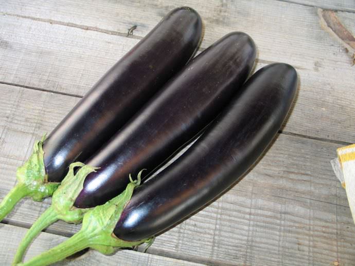 Средняя урожайность сорта Валентина составляет чуть больше 3 кг с каждого квадратного метра посадочной площади