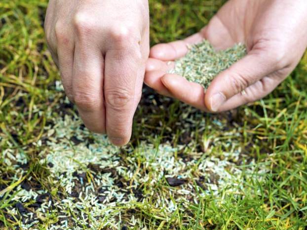 Высевать семена травяных смесей нужно, придерживаясь стандартных норм расхода, которые всегда обозначаются производителями на упаковке с семенным материалом