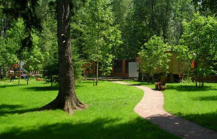 При содержании земли под слоем дерна влага после полива или дождя сохраняется дольше