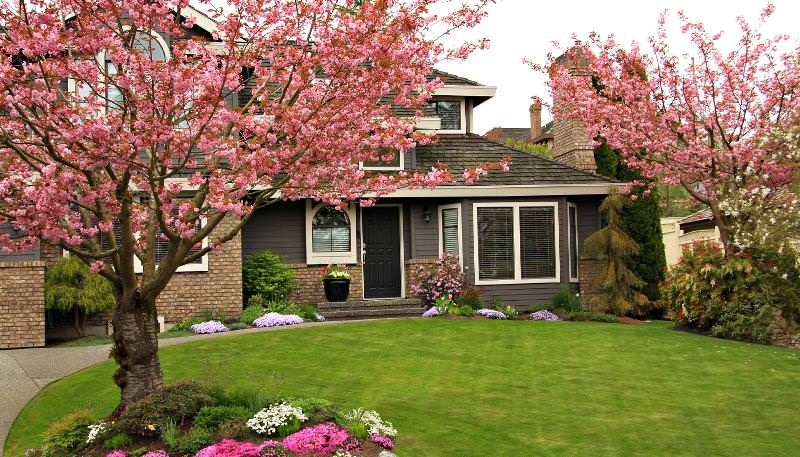 Корни травы, проникая в глубину, не дают земле спрессоваться, усиливают вентиляцию и позволяют испаряться лишней влаге