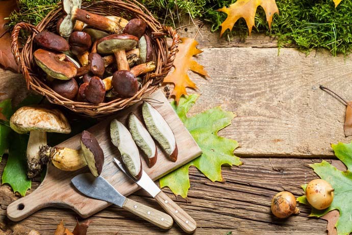 Польза и вкусовые свойства подберезовика обусловлены химическим составом его мякоти