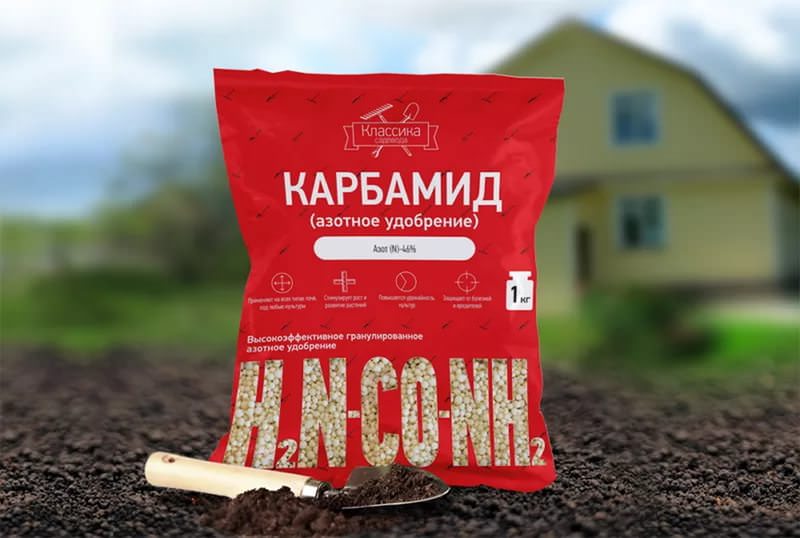 Карбамид в настоящее время считается одной из лучшей форм азотных удобрений, пригодных как для внекорневых, так и для корневых подкормок любых огородных растений