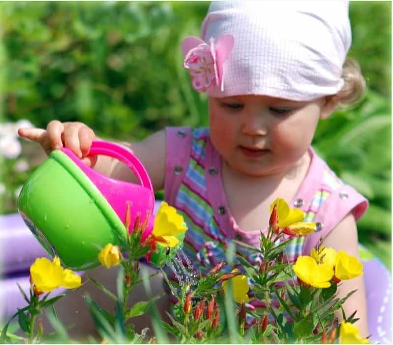 Огород следует располагать на хорошо освещенном месте