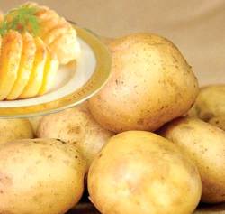 Картофель «Реванш» востребован для многоцелевого применения