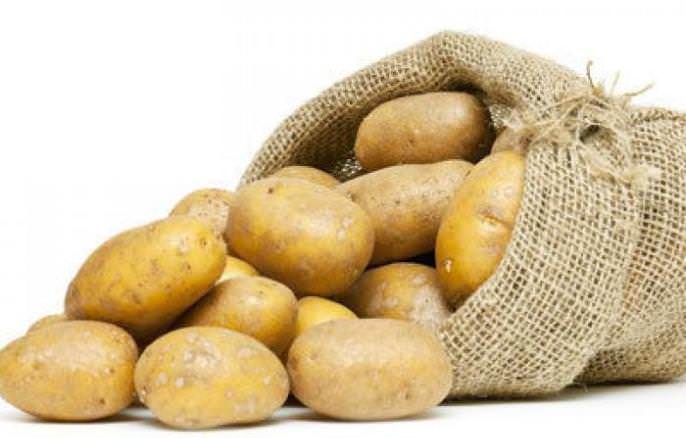 Сорт «Агрия» характеризуется более высоким качеством и возможностью длительного хранения