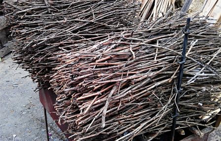 Специалисты рекомендуют использовать для приготовления шашлыка виноградную лозу