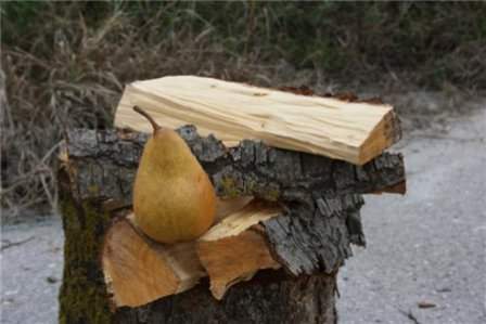 Дрова из груши, вишни и абрикоса отлично подходят для жарки шашлыка и приготовления копченостей