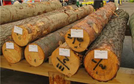 Не рекомендуется использовать для готовки мяса на открытом огне ель и сосну