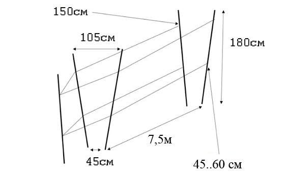Двухполосные шпалеры для винограда устанавливаются в условиях значительных посадочных площадей