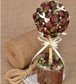 Топиарий из каштанов украсит любой дом 