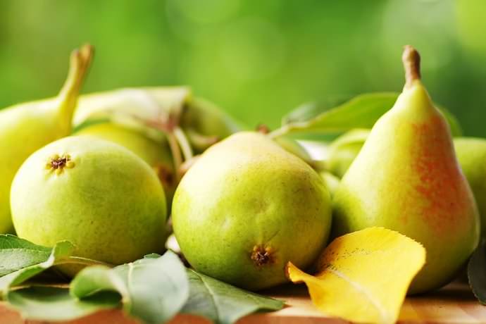 Собранный урожай сорта «Лель» можно хранить не более недели и использовать плоды универсально