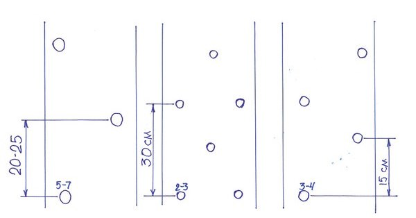 Схема посадки картофеля «Василек» зависит от плодородности грунта, а также веса семенного материала