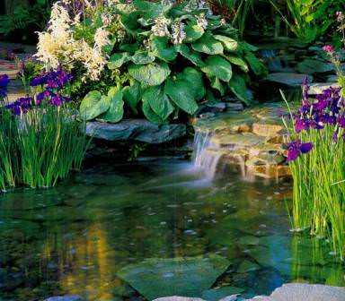 Экономия на даче очень важна, ведь именно данным способом можно избежать баснословных затрат