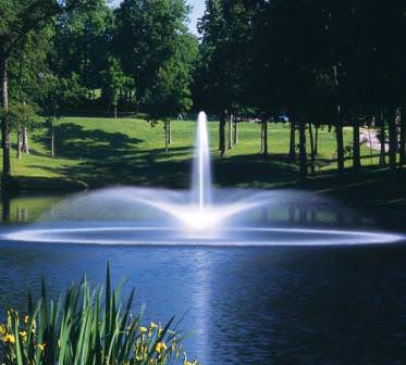 Некоторые виды насадок лучше применять в крупных резервуарах, больших чашах, другие прекрасно подойдут для небольших фонтанов