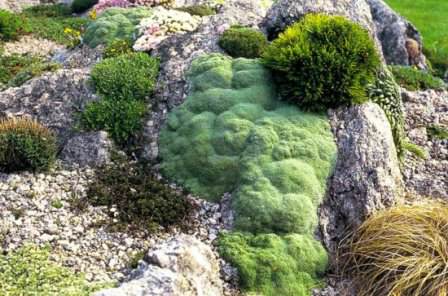 Оформление проекта, заключительная часть преобразования рельефа сада