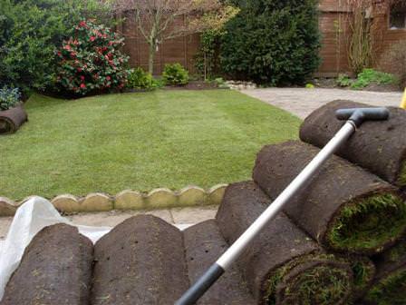 Геопластика, экспозиция растений, применение новых форм растительности