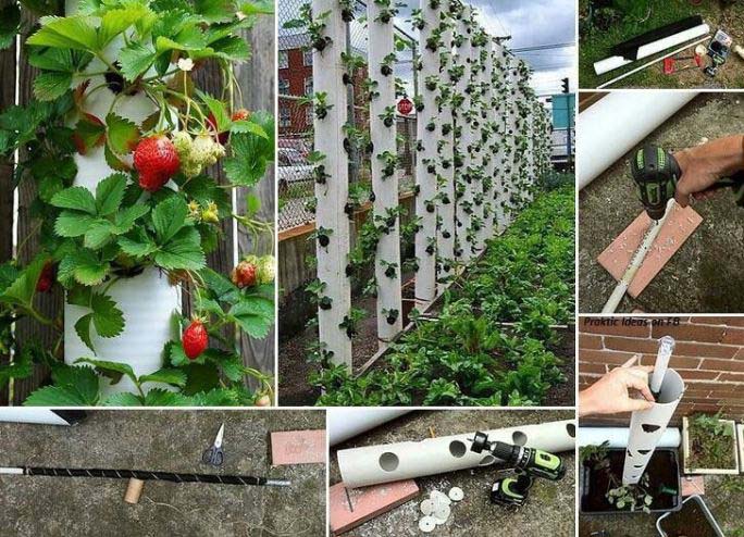 Технологии возведения вертикальных и горизонтальных грядок для выращивания земляники несколько отличаются друг от друга