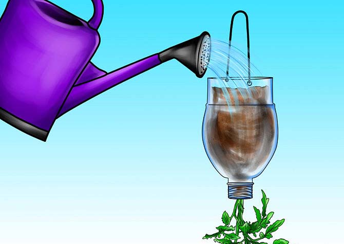 Поливать и удобрять помидоры несложно – дотягиваемся леечкой сверху и поливаем как цветы