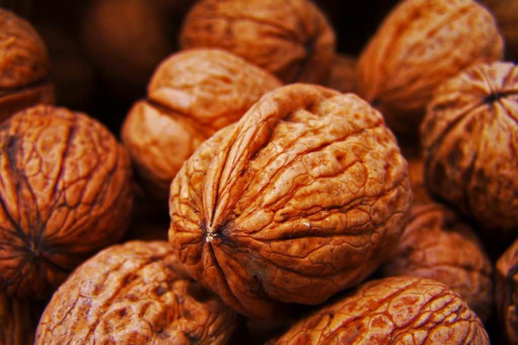 Посадка, уход и выращивание грецкого ореха – приятная работа для любого дачника