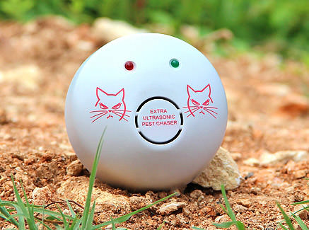 В продаже имеются электронные отпугиватели для грызунов. Они весьма эффективны