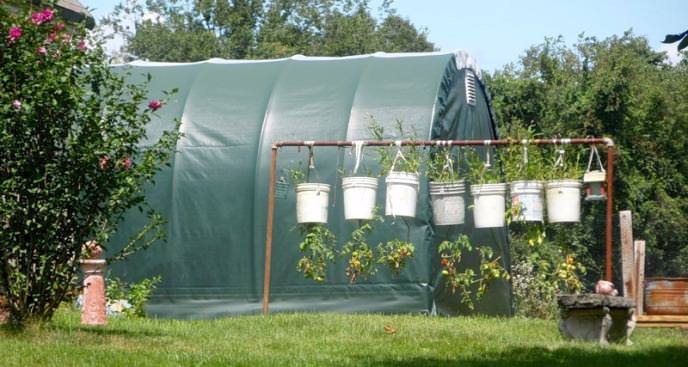 Подвес для томатов «вниз головой» должен быть крепким и прочным